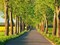 Lime tree alley, Mecklenburg Lake District, Germany Poster Print by Frank Krahmer - Item # VARPDX3FK3149